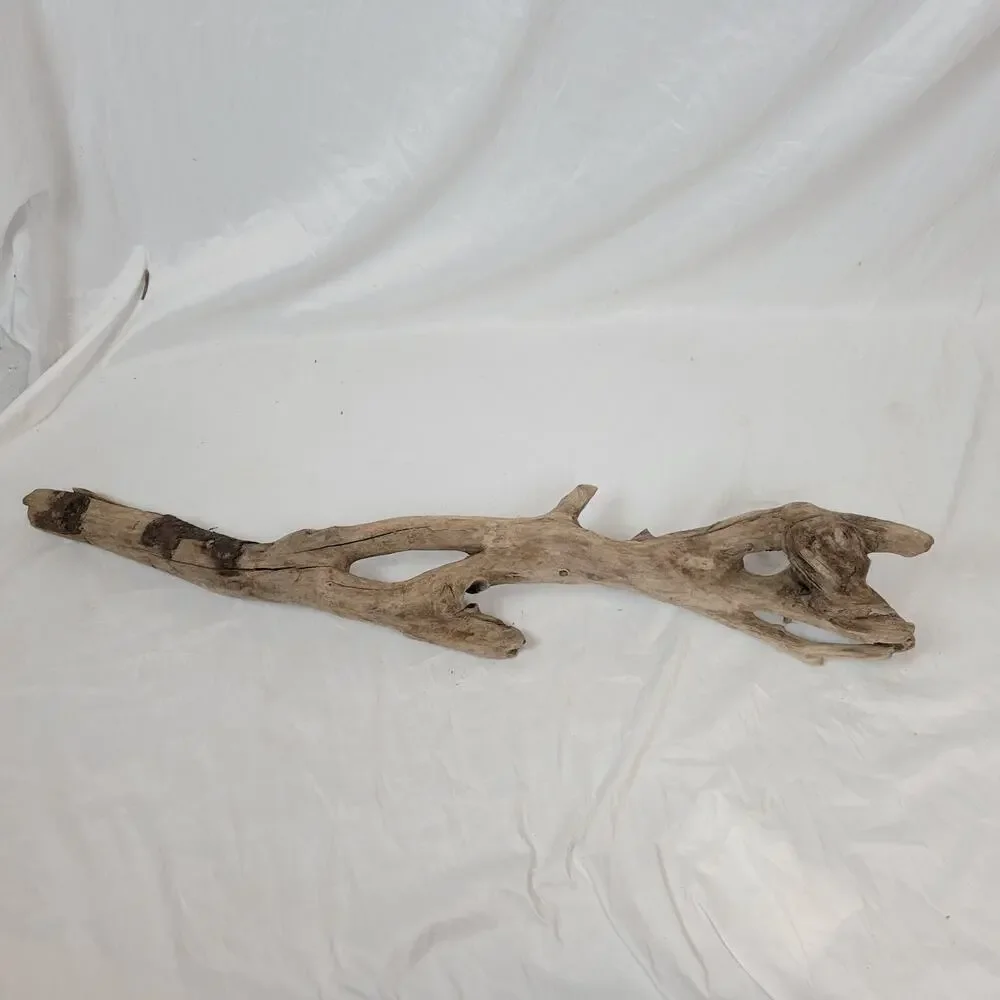 Ohio River Driftwood 44.5